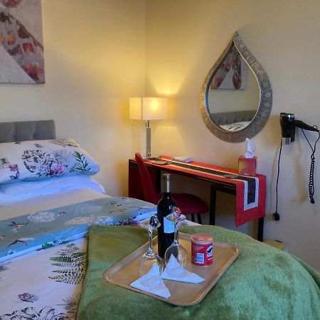 Mountroyal Victorian Studio Self Catering Apartment 3 Belfast Luaran gambar