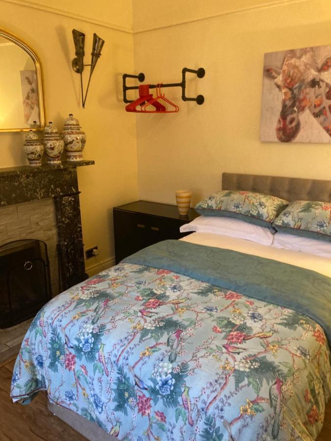 Mountroyal Victorian Studio Self Catering Apartment 3 Belfast Luaran gambar