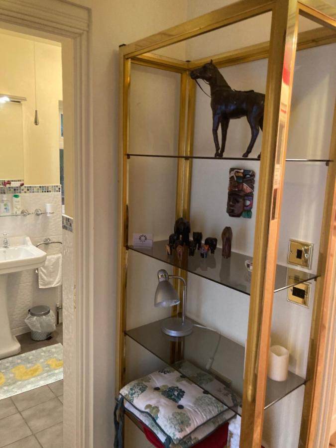 Mountroyal Victorian Studio Self Catering Apartment 3 Belfast Luaran gambar