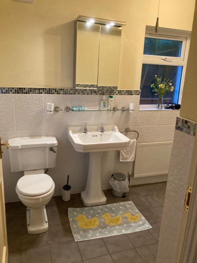 Mountroyal Victorian Studio Self Catering Apartment 3 Belfast Luaran gambar