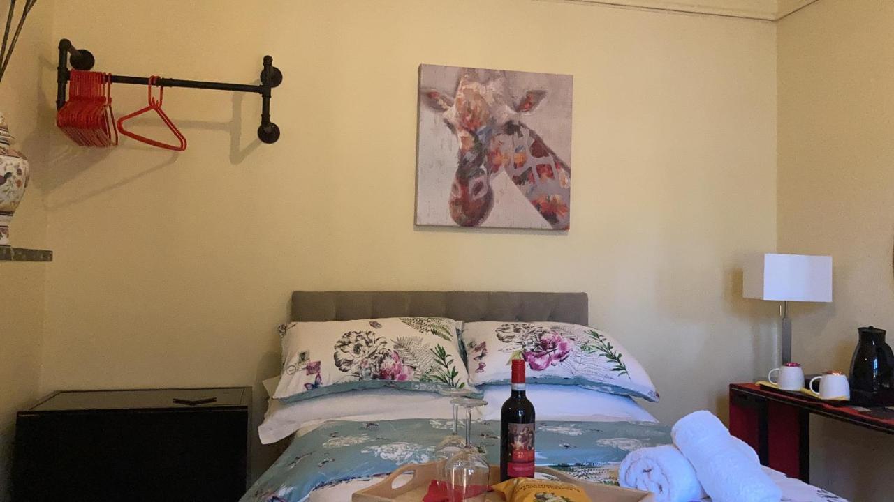Mountroyal Victorian Studio Self Catering Apartment 3 Belfast Luaran gambar