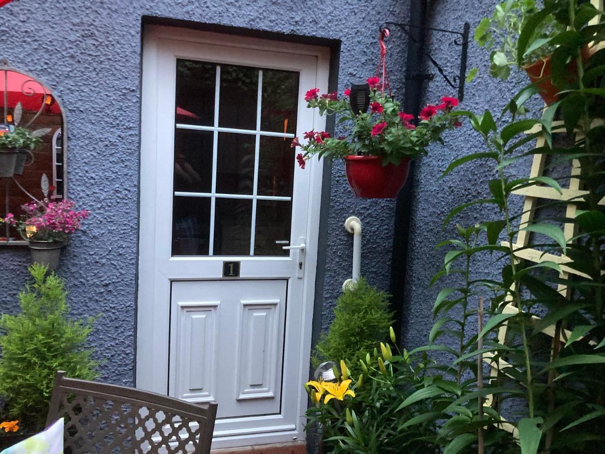 Mountroyal Victorian Studio Self Catering Apartment 3 Belfast Luaran gambar