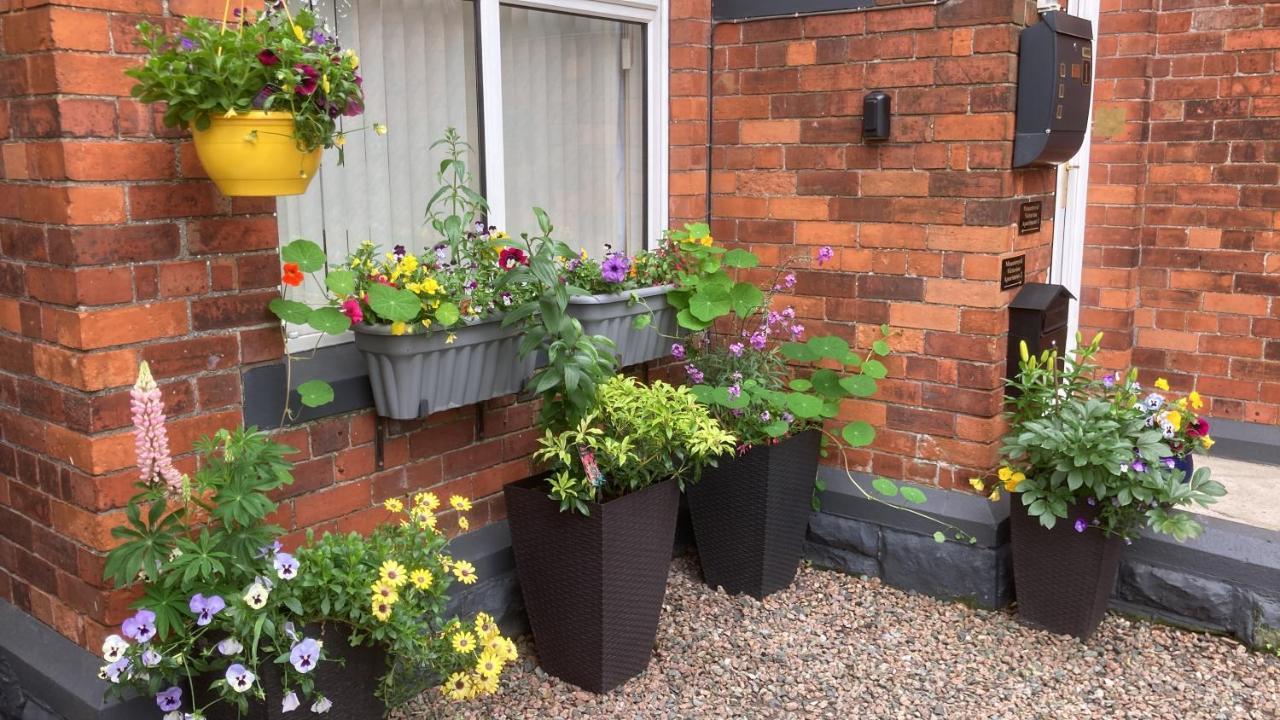 Mountroyal Victorian Studio Self Catering Apartment 3 Belfast Luaran gambar