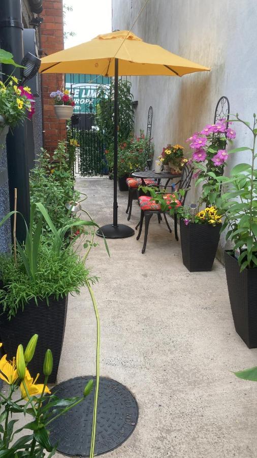 Mountroyal Victorian Studio Self Catering Apartment 3 Belfast Luaran gambar